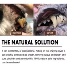 Pet Teeth Cleaning Spray 30ml
