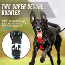 Dog Harness